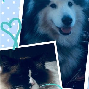 Meet your Posher, Jodie